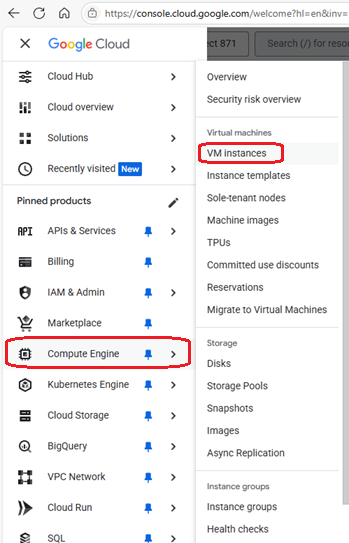ComputeEngineVmInstances