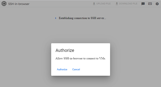 AuthorizeSSH_in_browser