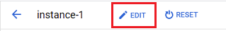 EditInstance